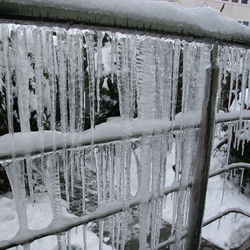 January 2010: Snow in Bucharest