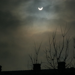 January 2011: A Partial Eclipse of the Heart