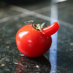Intermezzo: Perfectly normal tomato